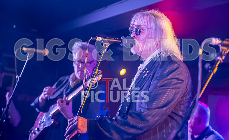 The Blockheads-50 - THE BLOCKHEADS