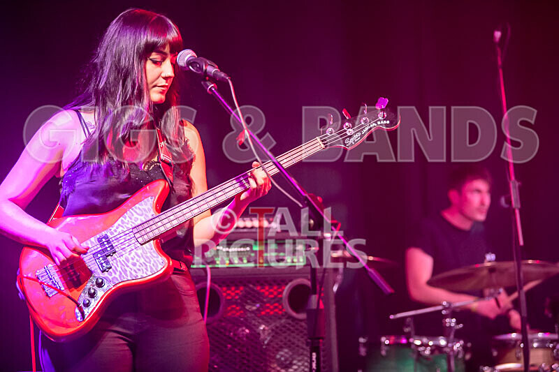 The Tarantulips-21 - THE TARANTULIPS