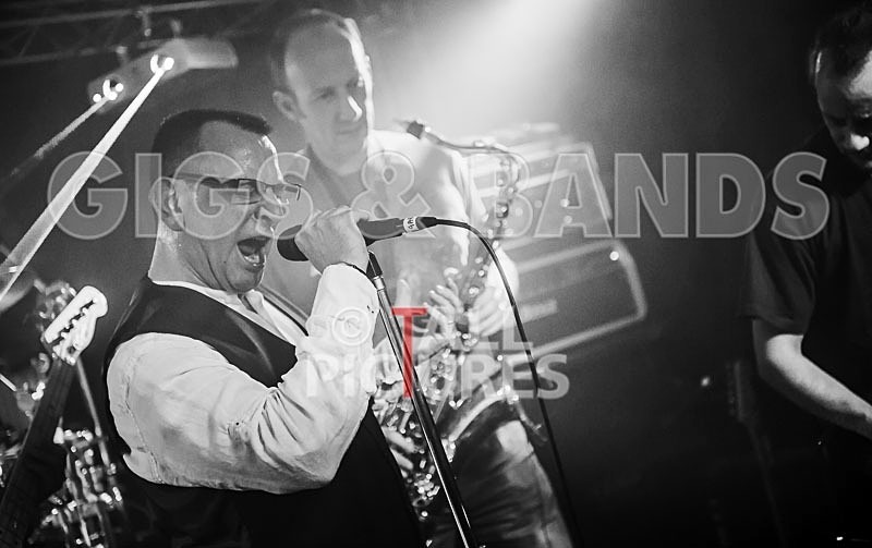 Elysium-204 - ELYSIUM