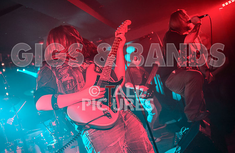 Stone Em All-253 - STONE EM ALL