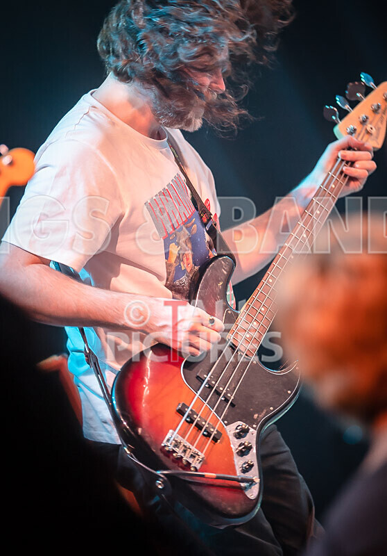 Pigsx7-96 - PIGS PIGS PIGS PIGS PIGS PIGS PIGS