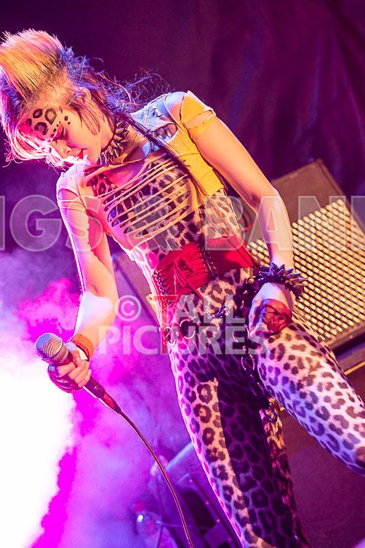 Pussycat and the Dirty Johnsons-43 - PUSSYCAT AND THE DIRTY JOHNSONS