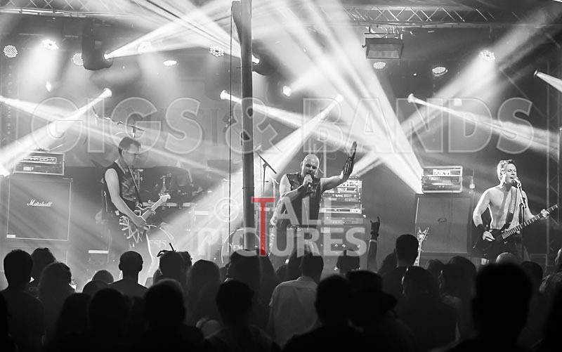 Nemesis-431 - NEMESIS