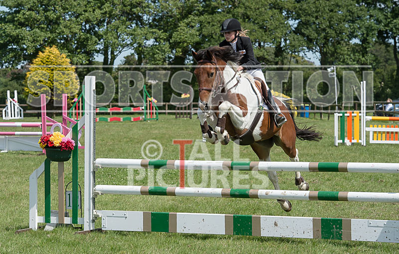 Showjumping_Derby Show_2014-21 - BRITISH SHOWJUMPING GUERNSEY DERBY SHOW 2014