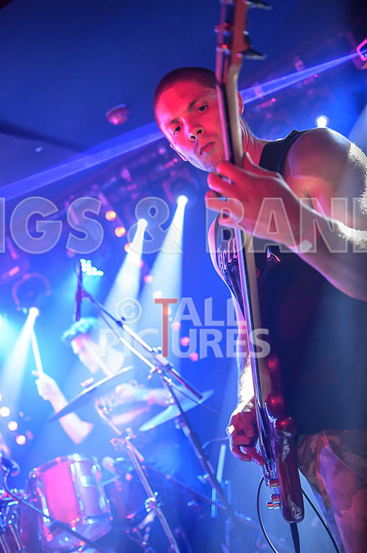 Masticated-4 - MASTICATED