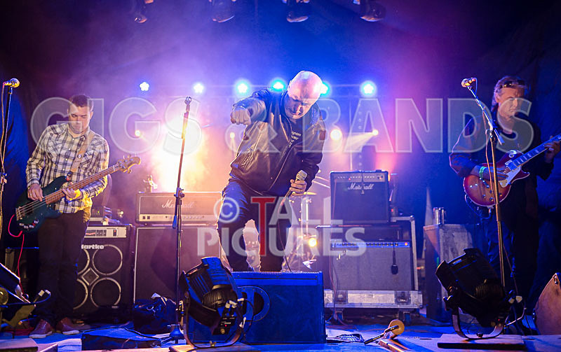 Attila the Stock Broker-19 - ATTILA THE STOKEBROKER'S BARNSTORMERS