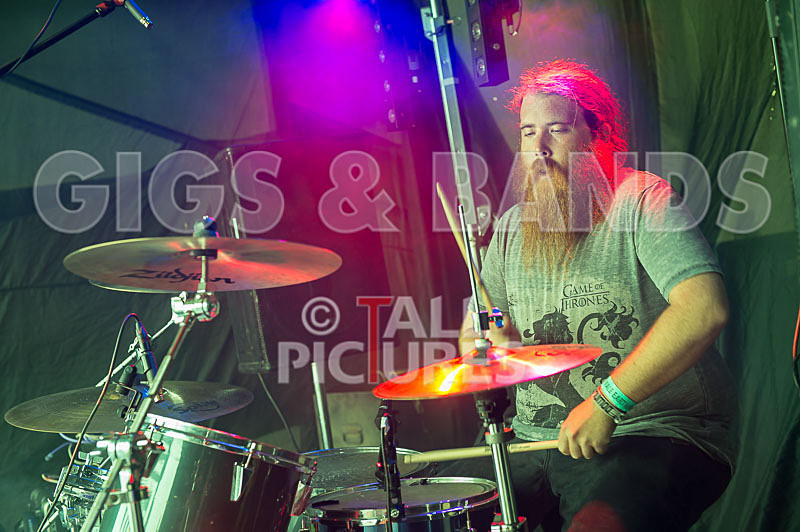 Honest Crooks-47 - HONEST CROOKS