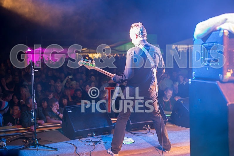 The Buzzcocks-24 - BUZZCOCKS