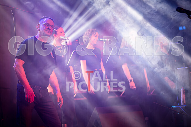 Elysium as Pink Floyd-299 - ELYSIUM as PINK FLOYD