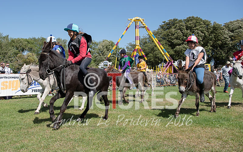 Donkey Derby_2016-2 - LIONS CLUB DONKEY DERBY 2016