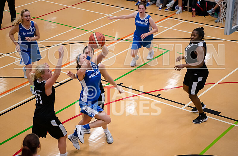 Le Mont Saint Storm v Ravenscroft_2019-13 - LE MONT SAINT STORM v RAVENSCROFT