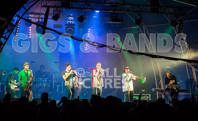 The Mouse Outfit-54 - THE MOUSE OUTFIT