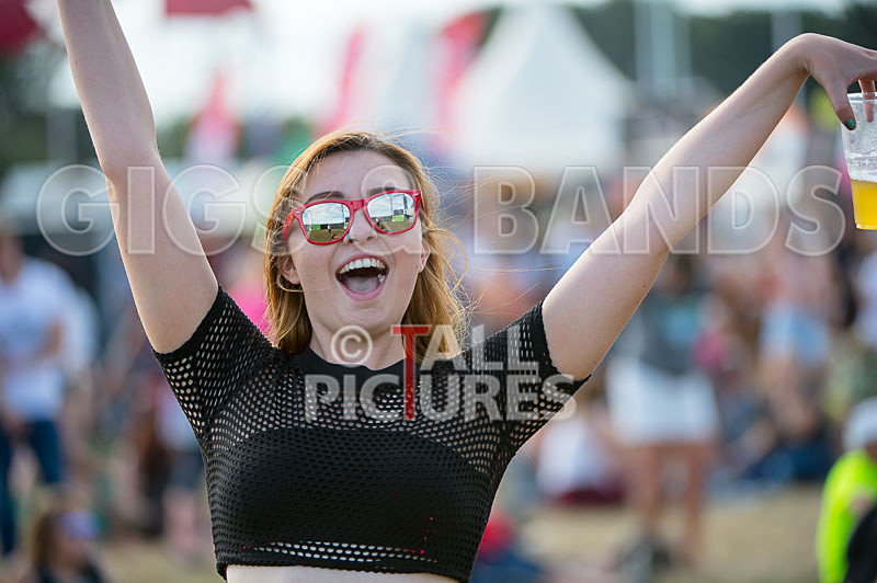 Jersey Live 2016_Scene-21 - JERSEY LIVE 2016_THE SCENE