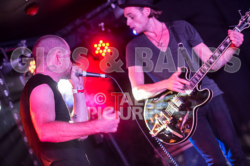 Heymoonshaker-30 - HEYMOONSHAKER