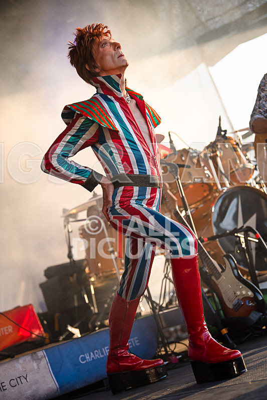 The Bowie Experience-38 - THE BOWIE EXPERIENCE