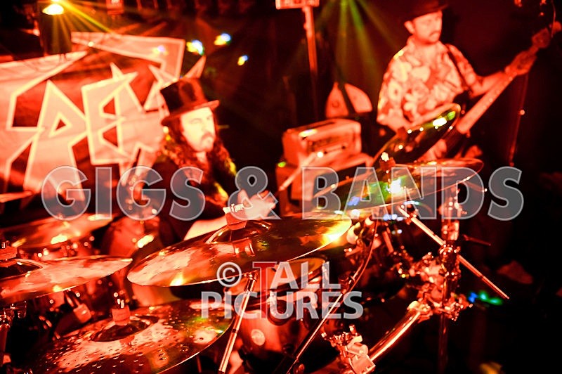 Peppered Ant Legs-117 - PEPPERED ANT LEGS