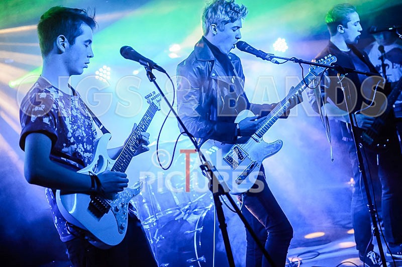 Francisco-3 - FRANCISCO