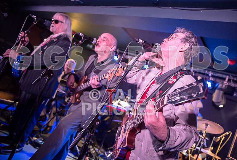 The Blockheads-72 - THE BLOCKHEADS