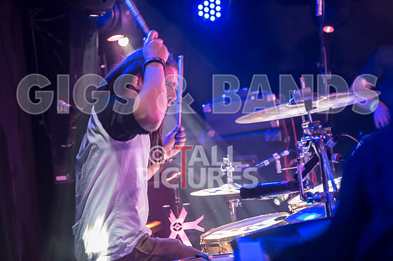 Tadhg Daly-10 - TADHG DALY