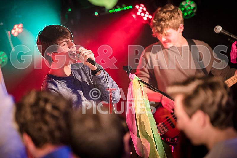 Isle Stone-8 - ISLE STONE