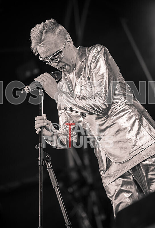 The Sacred Hearts-120 - THE SACRED HEARTS