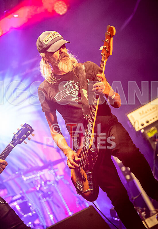 The Electric Shakes-175 - THE ELECTRIC SHAKES