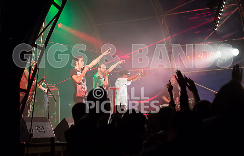 The Mouse Outfit-73 - THE MOUSE OUTFIT