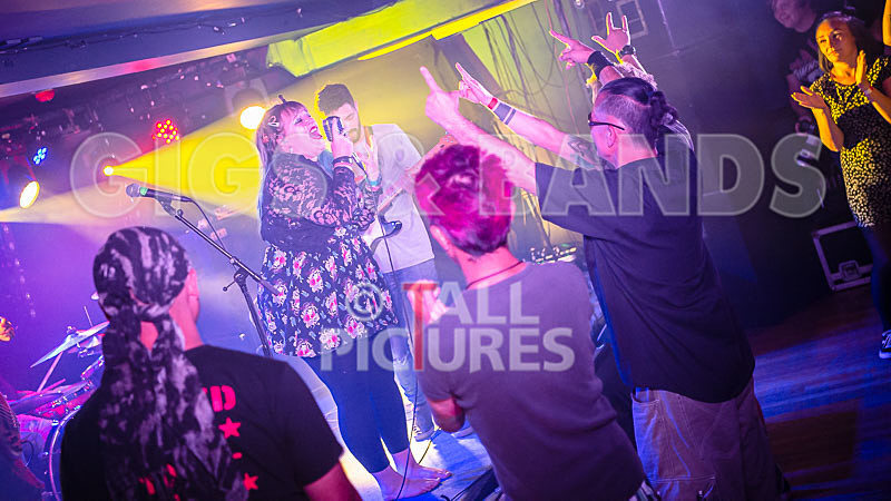 Static Alice-774 - STATIC ALICE