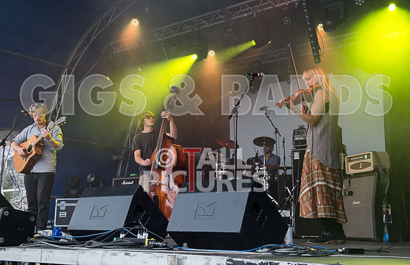 Buffalo Huddleston-165 - BUFFALO HUDDLESTON