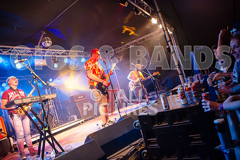 Honest Crooks-220 - HONEST CROOKS