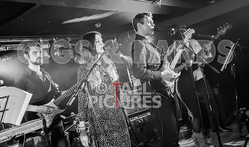 Bill Adlard  the Blues Kings-46 - BILL ADLARD & THE BLUES KINGS