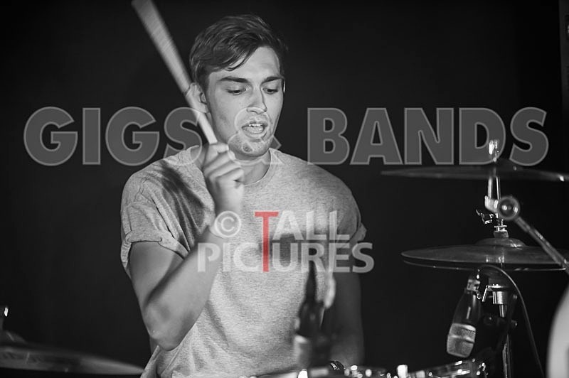 China Aster-115 - CHINA ASTER