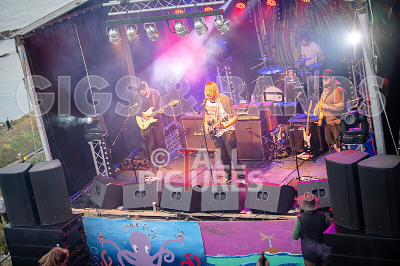 Vale Earth Fair 2020_THE SCENE-82 - VALE EARTH FAIR 2020_THE SCENE