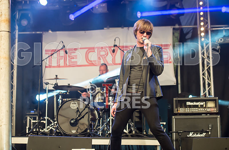The Cryptics-83 - THE CRYPTICS