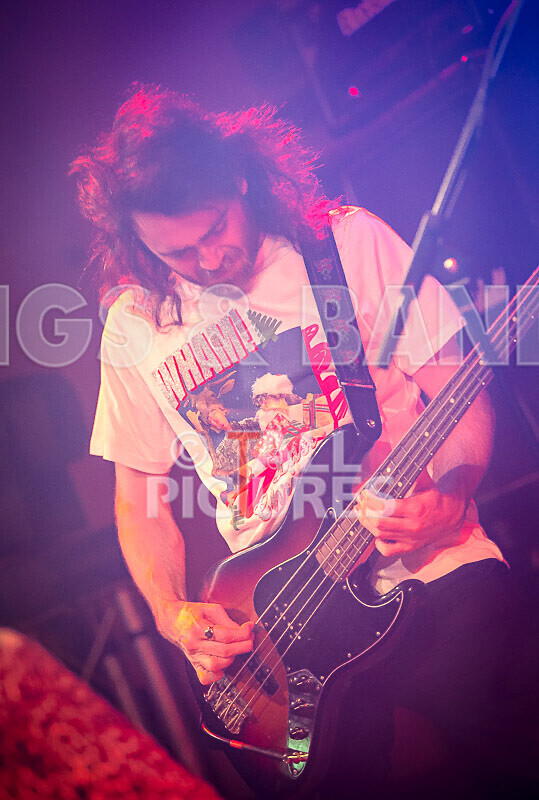 Pigsx7-116 - PIGS PIGS PIGS PIGS PIGS PIGS PIGS