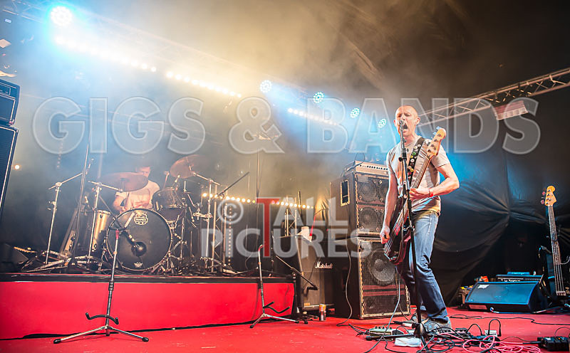 Falenizza Horsepower-70 - FALENIZZA HORSEPOWER