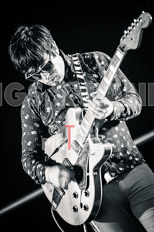 The Gaa Gaas-110 - THE GAA GAAS