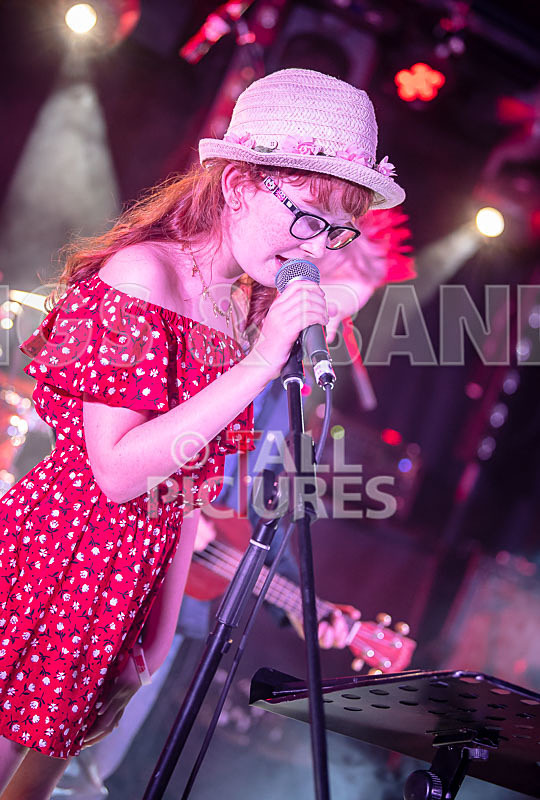 The Flaming Flamingos-3 - THE FLAMING FLAMINGOES