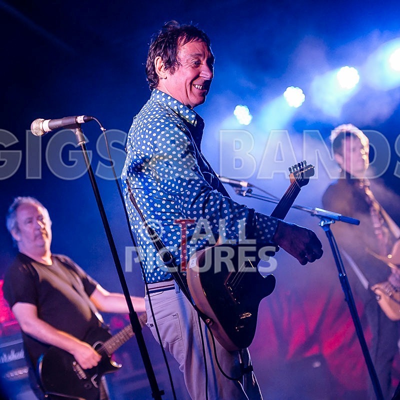 The Buzzcocks-11 - BUZZCOCKS