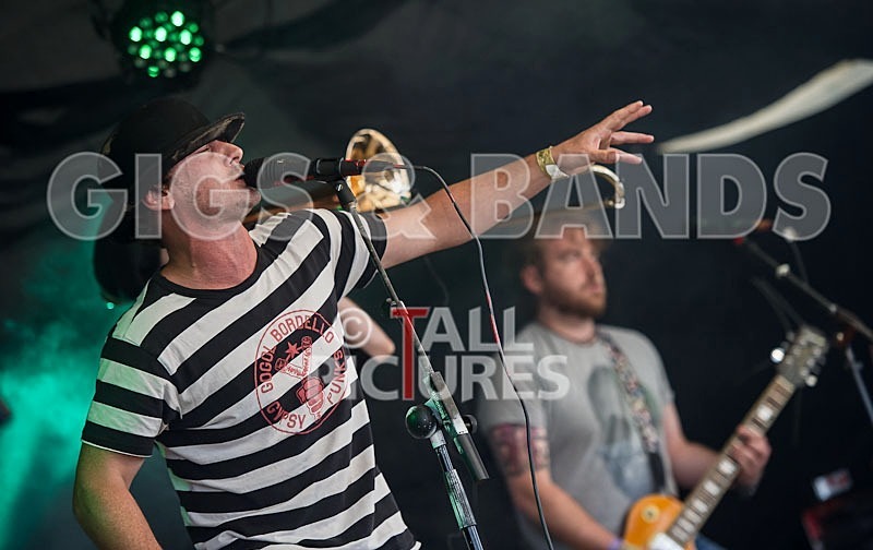 Pirate Party Brigade-2 - PIRATE PARTY BRIGADE