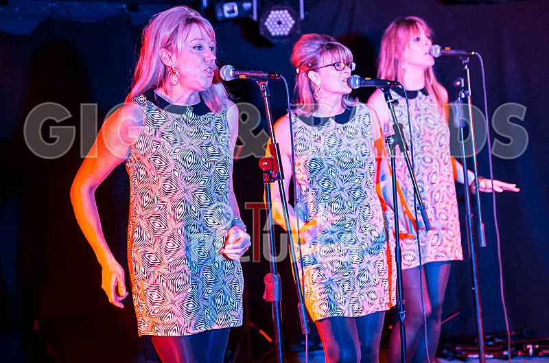 The Blondettes-19 - THE BLONDETTES