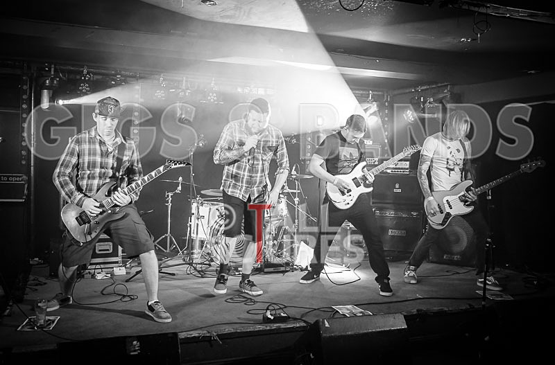 Granite Wolf-3 - GRANITE WOLF