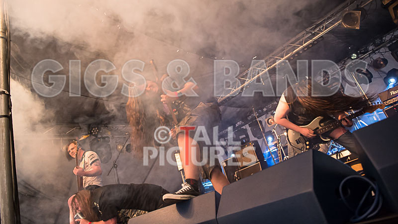 Stone Em All-283 - STONE EM ALL