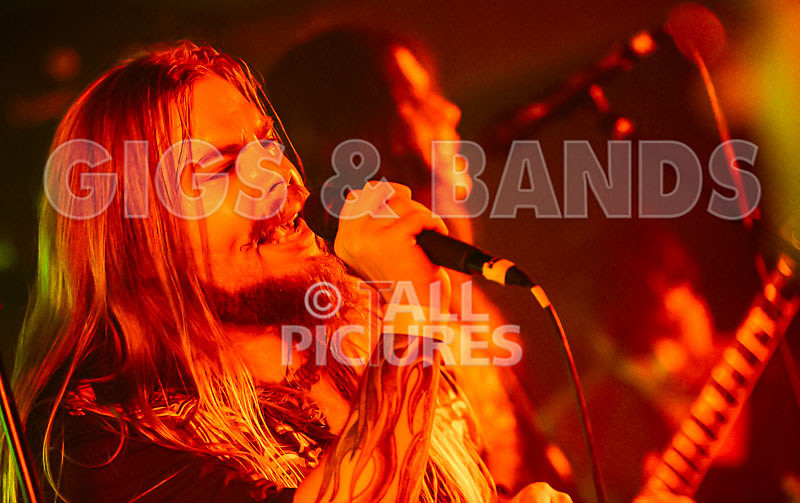 Stone Em All-225 - STONE EM ALL