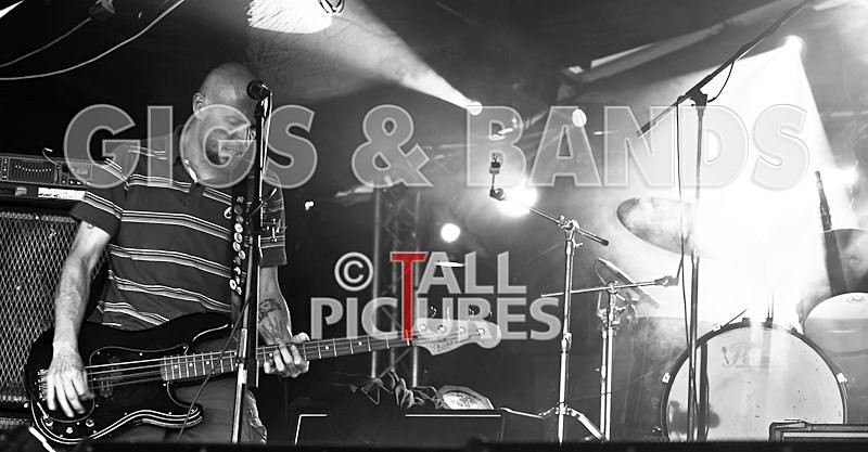 Falleniza Horsepower-65 - FALENIZZAHORSEPOWER