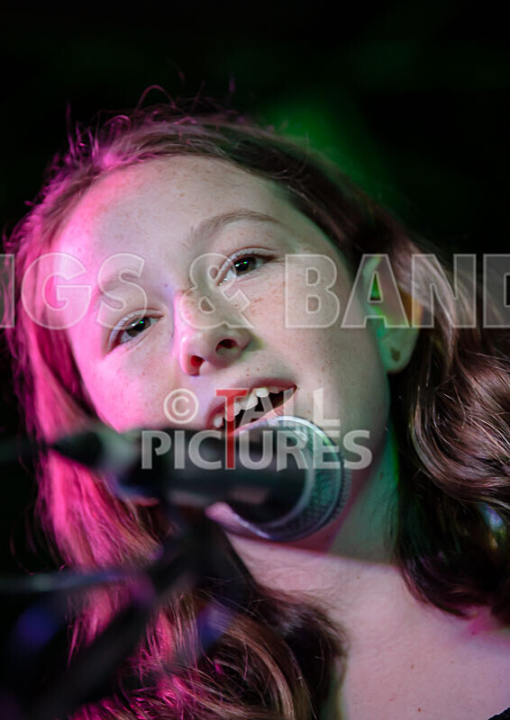 Pigeon Bomb-5 - PIGEON BOMB