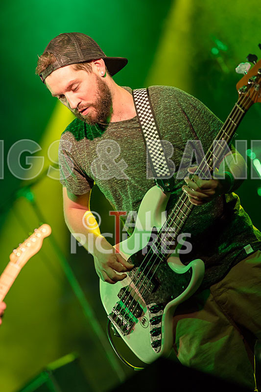 Honest Crooks-159 - HONEST CROOKS