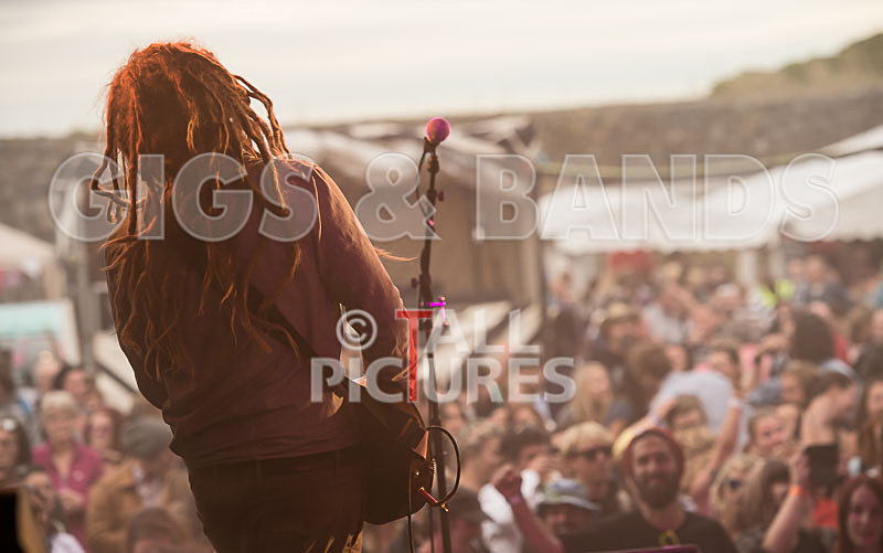 The Recks-320 - THE RECKS