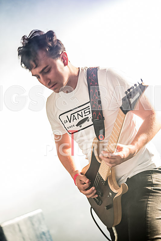 Granite Wolf-22 - GRANITE WOLF