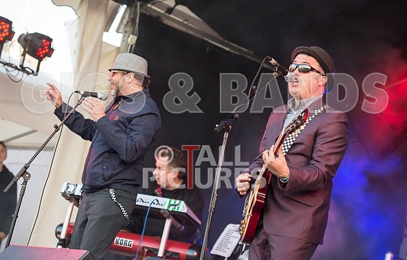 Sons of the Desert-195 - SONS OF THE DESERT